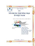 Thuc trang tin dung thuong mai trong nuoc va quoc te cua viet nam hien nay