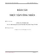 Báo cáo thực tập công nhân công ty cổ phần 565