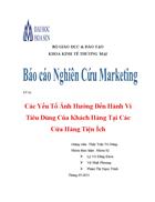 Các yếu tố ảnh hưởng đến xu hướng hành vi của người tiêu dùng tại các cửa hàng tiện ích trên địa bàng TP HCM