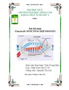 Sinh tổng hợp Protein