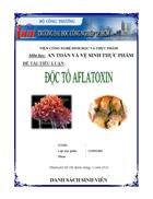 Độc tố aflatoxin AN TOÀN VÀ VỆ SINH THỰC PHẨM