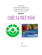 Chiếu xạ thực phẩm có 31 trang