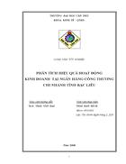 Phân tích hiệu quả hoạt động kinh doanh tại ngân hàng công thương chi nhánh tỉnh bạc liêu