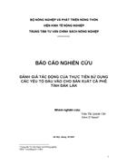 Nghiên cứu đánh giá tác động của thực tiễn sử dụng các yếu tố đầu vào cho sản xuất cà phê tỉnh đắk lắk