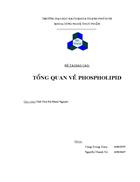 Tổng quan về phospholipide