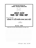 Báo cáo thực tập tổng hợp về Công ty Cổ phần Xuất nhập khẩu Sao Việt