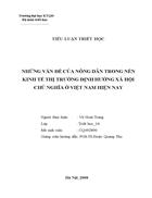 Những vấn đề của nông dân trong nền kinh tế thị trường định hướng XHCN ở Việt Nam hiện nay