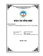 Công ty TNHH kiểm toán và tư vấn APEC